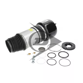 Ressort pneumatique, châssis Dunlop Airsuspension