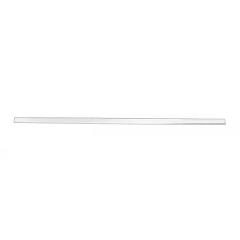 Baguette et bande protectrice, porte avant gauche OE 8D0853953GRU