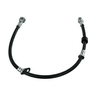 Flexible de frein DELPHI