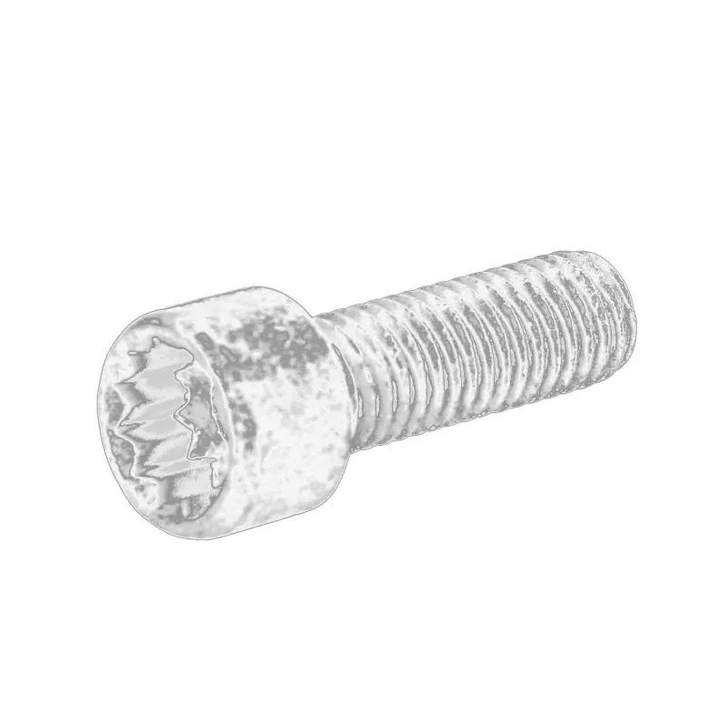 boulon de poulie OE N91005902