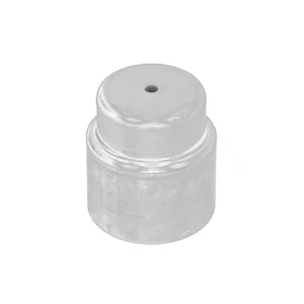 Palier de guidage, embrayage OE