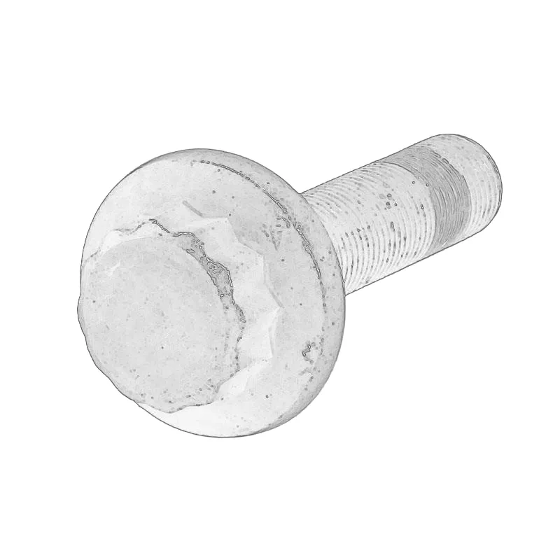 Courroie crantée OE WHT005437