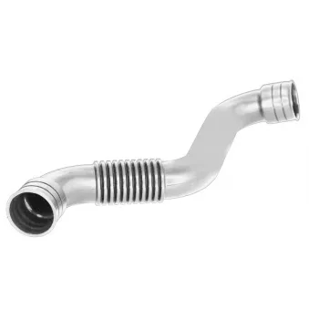 flexible, reniflard de carter OE 03G103493T