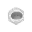 Indicateur de pression d'huile OE 04L919081B - Visuel 2
