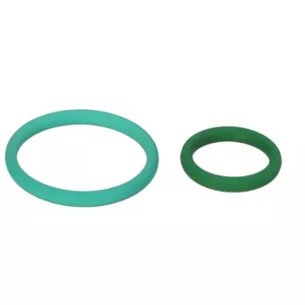 Jeu de joints, pompe d'injection ELRING 455.290