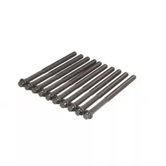Jeu de boulons de culasse de cylindre ELRING 455.870