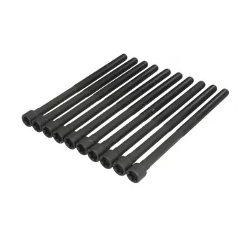 Jeu de boulons de culasse de cylindre ELRING 794.470