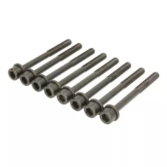 Jeu de boulons de culasse de cylindre ELRING 444.100