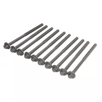 Jeu de boulons de culasse de cylindre ELRING 887.530