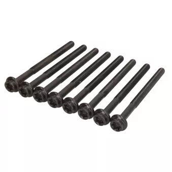 Jeu de boulons de culasse de cylindre ELRING