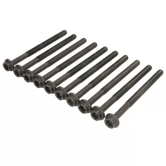 Jeu de boulons de culasse de cylindre ELRING 653.400