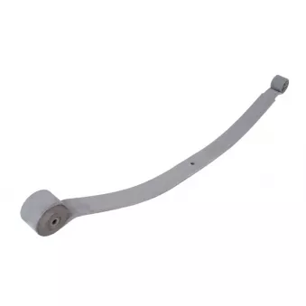 Groupe de ressorts TES BK315560CD0019 Z/T