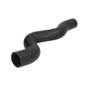 Durite de radiateur THERMOTEC DWP009TT