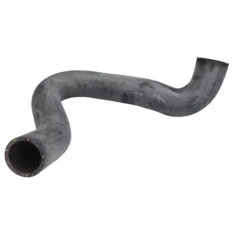 Durite de radiateur THERMOTEC DWG011TT