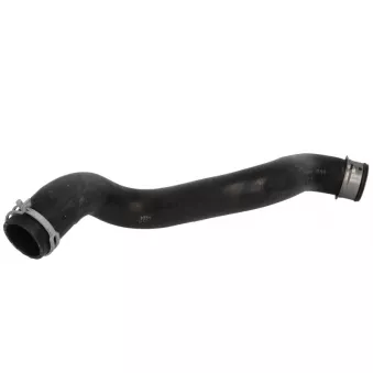 Durite de radiateur THERMOTEC DWM017TT