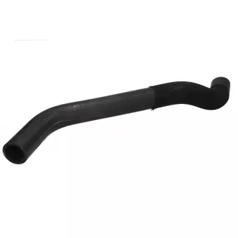 Durite de radiateur THERMOTEC DWR007TT