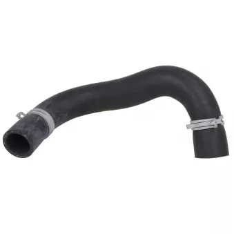 Durite de radiateur THERMOTEC DW0324TT