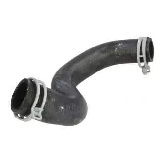 Durite de radiateur THERMOTEC DWR077TT