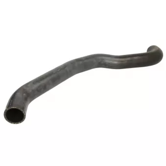 Durite de radiateur THERMOTEC DWG031TT