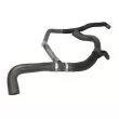 Durite de radiateur THERMOTEC DWR086TT - Visuel 3
