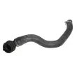 Durite de radiateur THERMOTEC DWC078TT - Visuel 1