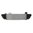 Intercooler, échangeur THERMOTEC DA03002TT - Visuel 2