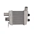 Intercooler, échangeur THERMOTEC DA03003TT - Visuel 1