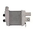 Intercooler, échangeur THERMOTEC DA03003TT - Visuel 2