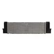 Intercooler, échangeur THERMOTEC DAB020TT - Visuel 2