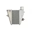 Intercooler, échangeur THERMOTEC DA4001TT - Visuel 1