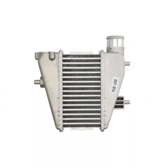 Intercooler, échangeur THERMOTEC