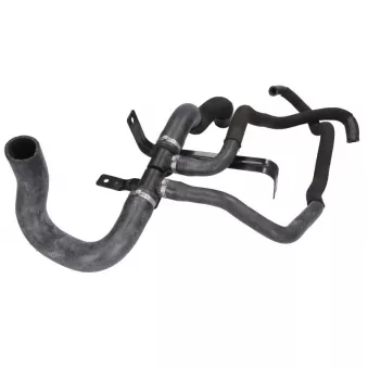 Durite de radiateur THERMOTEC DWC141TT