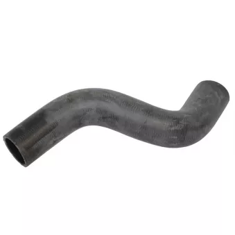 Durite de radiateur THERMOTEC DW2033TT