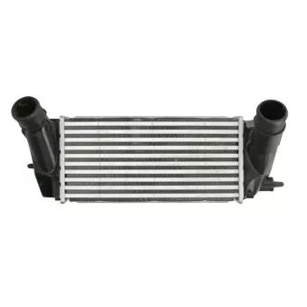Intercooler, échangeur THERMOTEC DAG027TT