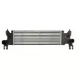 Intercooler, échangeur THERMOTEC DA8002TT - Visuel 1
