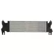 Intercooler, échangeur THERMOTEC DA8002TT - Visuel 2