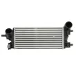Intercooler, échangeur THERMOTEC DAG032TT - Visuel 1