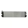 Intercooler, échangeur THERMOTEC DAM032TT - Visuel 2