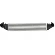 Intercooler, échangeur THERMOTEC DAX033TT - Visuel 1