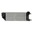 Intercooler, échangeur THERMOTEC DAF013TT - Visuel 1