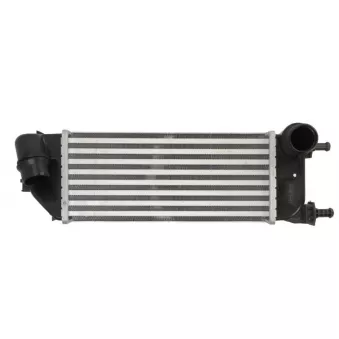 Intercooler, échangeur THERMOTEC DAF013TT