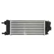 Intercooler, échangeur THERMOTEC DAF013TT - Visuel 2