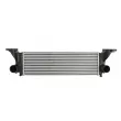 Intercooler, échangeur THERMOTEC DAE003TT - Visuel 1
