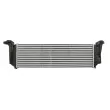 Intercooler, échangeur THERMOTEC DAE003TT - Visuel 2