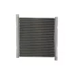 Radiateur, refroidissement du moteur THERMOTEC D7M071TT - Visuel 2