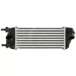 Intercooler, échangeur THERMOTEC DAF015TT - Visuel 1