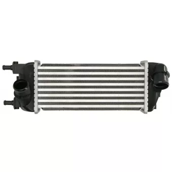 Intercooler, échangeur THERMOTEC DAF015TT