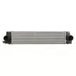 Intercooler, échangeur THERMOTEC DAV010TT - Visuel 1