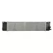 Intercooler, échangeur THERMOTEC DAV010TT - Visuel 2