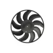 Ventilateur, refroidissement du moteur THERMOTEC D8X036TT - Visuel 1